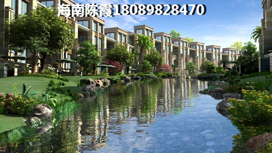 上海海南买房XG政策2021 上海的经济的和产业